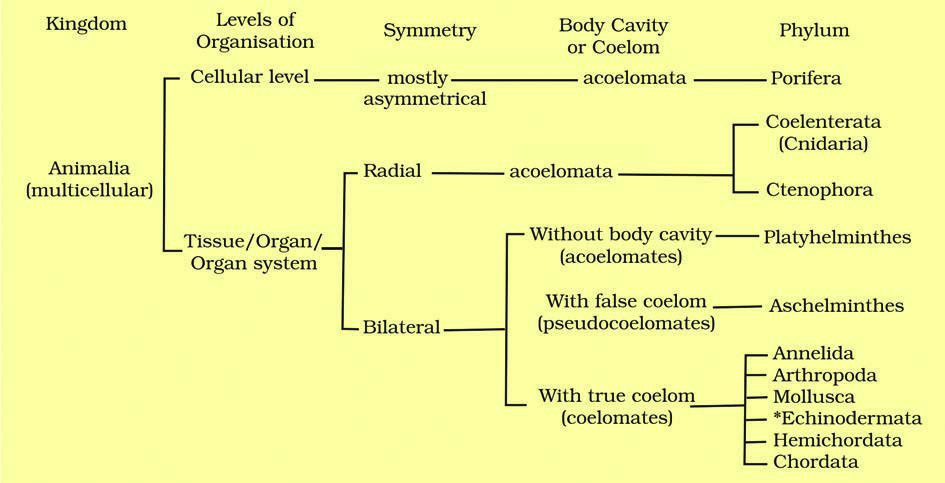 NCERT Diagram 1